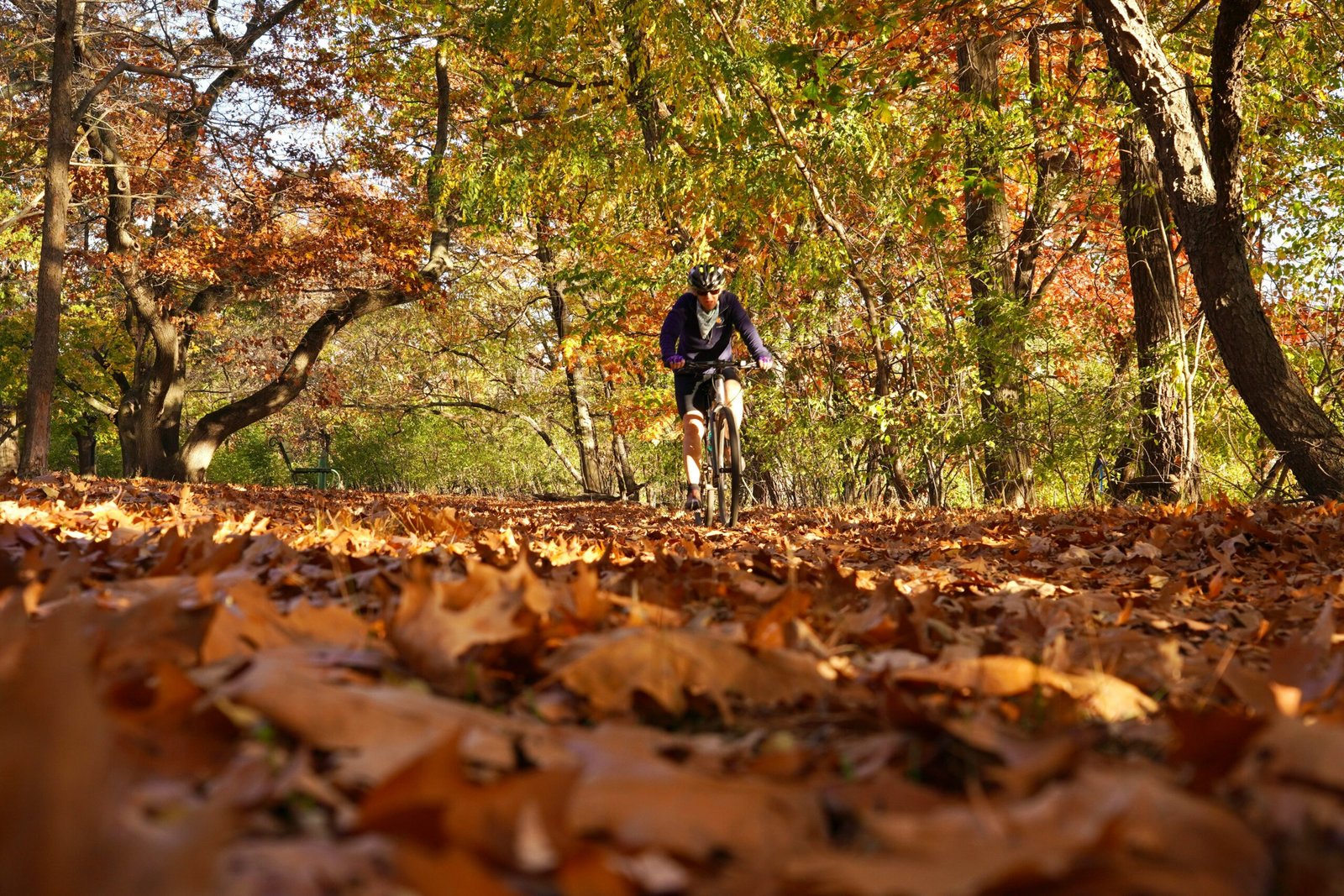 a person riding a bike on a trail in the woods